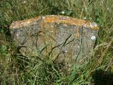 image of grave number 104100